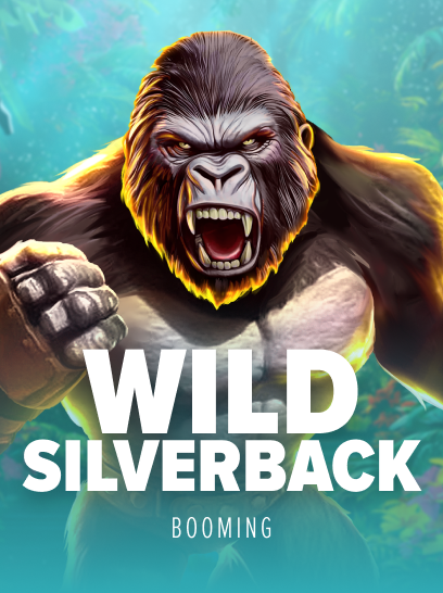 Wild Silverback