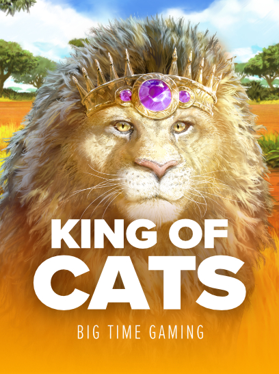 King Of Cats