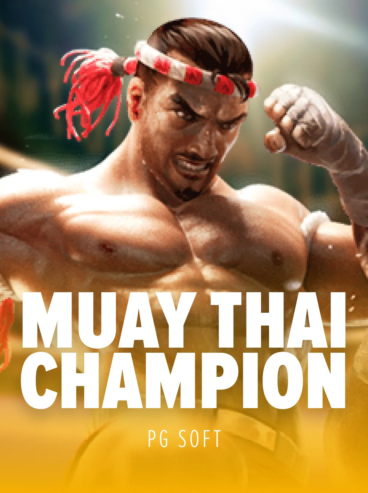 Muay Thai Champion