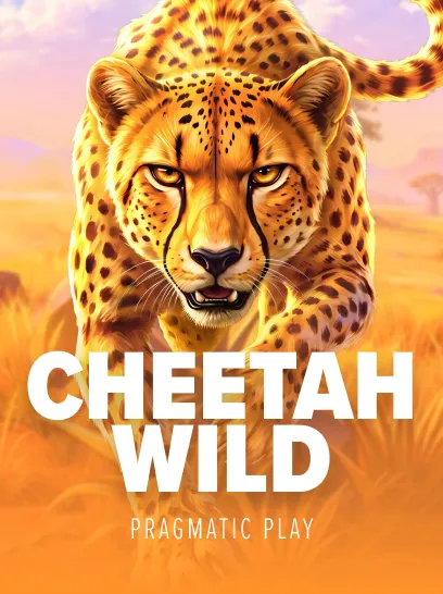 Cheetah Wild
